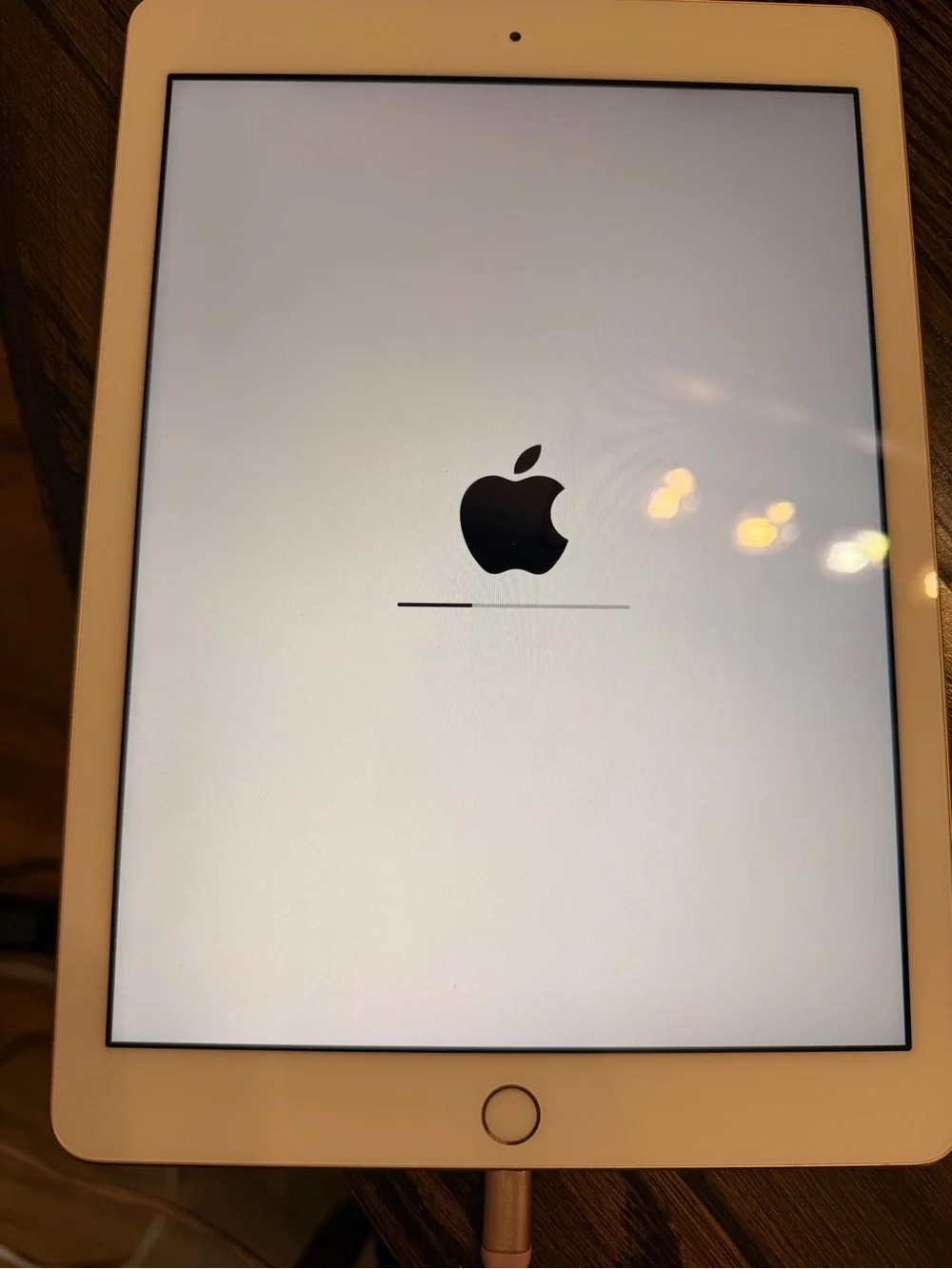 Apple iPad in White and rose gold back